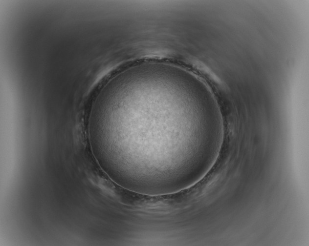 X0000114531256200910191315