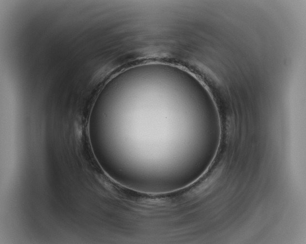X0000114531257200910191315