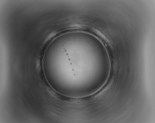 X0000114531259200910191315