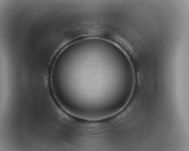 X0000114531260200910191315