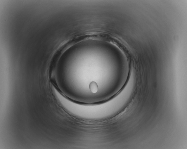 X0000114531261200910191315
