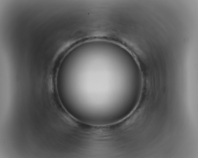 X0000114531262200910191315