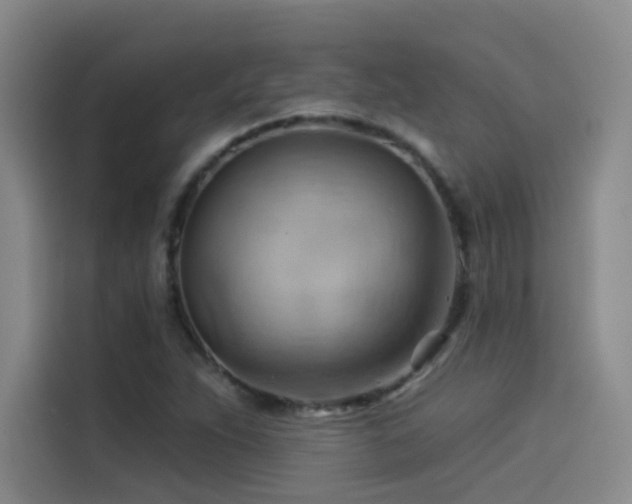 X0000114531263200910191315
