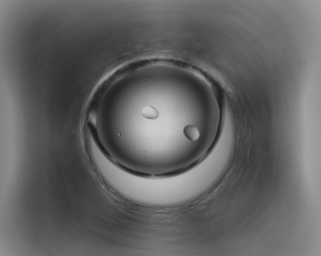 X0000114531264200910191315