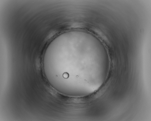 X0000114531266200910191315