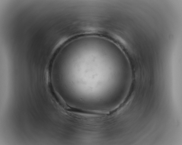 X0000114531267200910191315