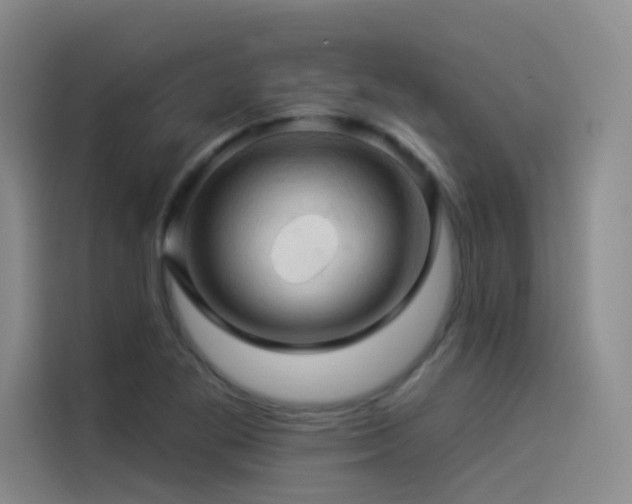 X0000114531269200910191315