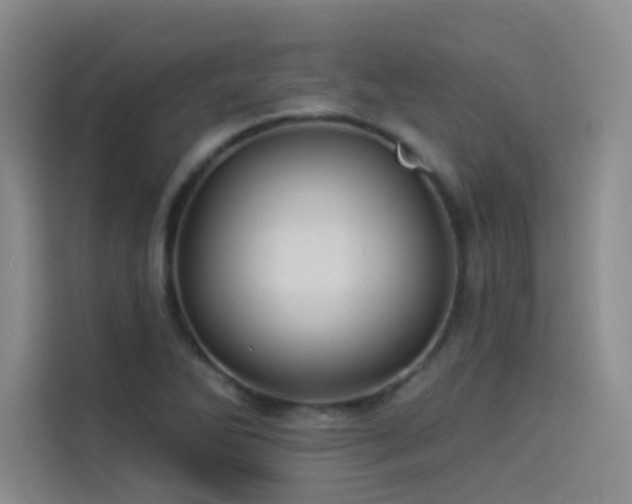 X0000114531270200910191314