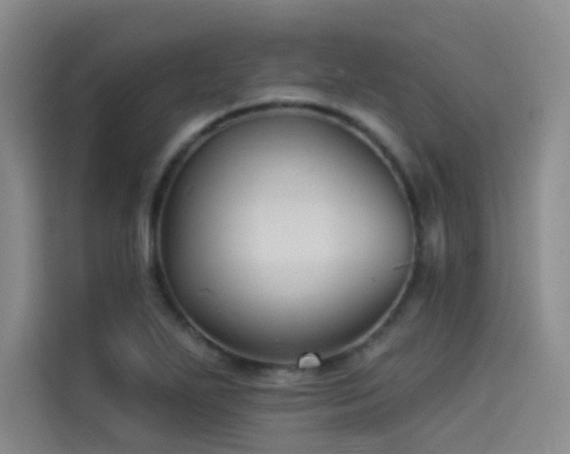 X0000114531271200910191314