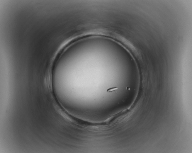 X0000114531272200910191314