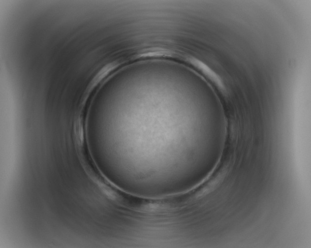 X0000114531274200910191314