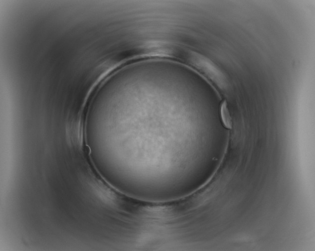 X0000114531276200910191314
