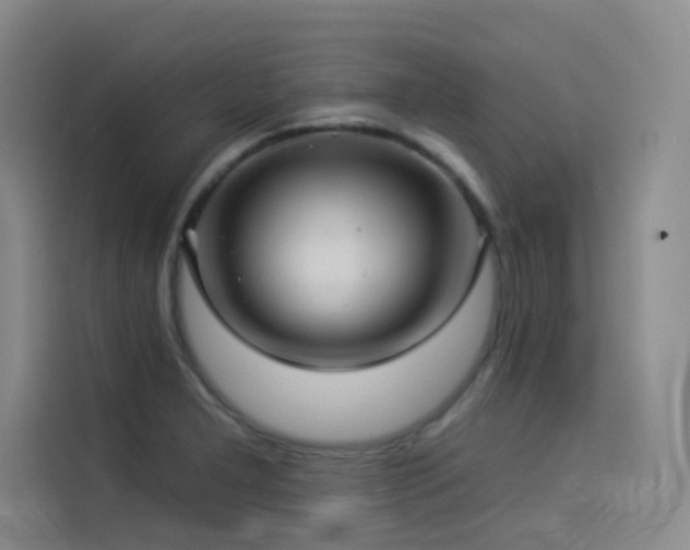 X0000114531277200910191314