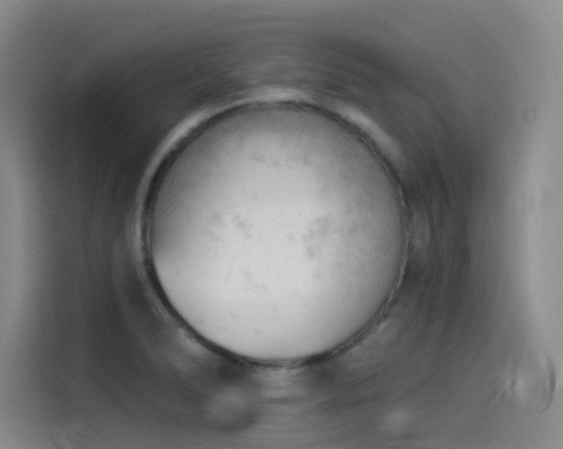 X0000114531278200910191314