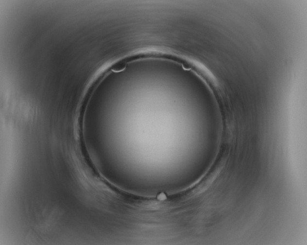 X0000114531279200910191314