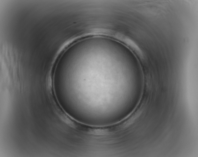 X0000114531280200910191314