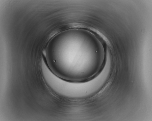 X0000114531281200910191314