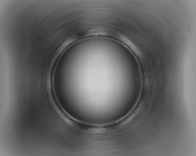 X0000114531282200910191314