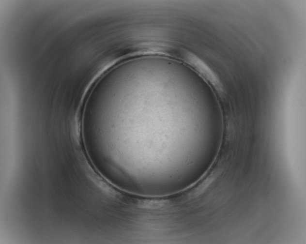X0000114531284200910191314