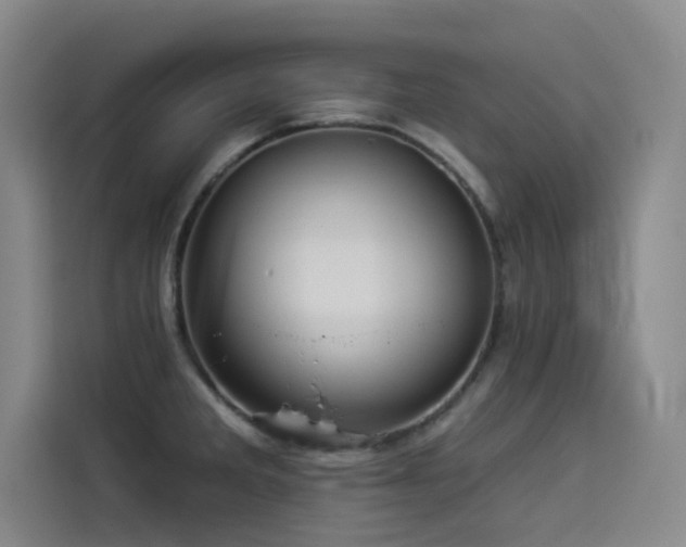 X0000114531285200910191314
