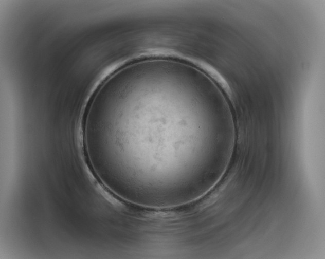 X0000114531287200910191314