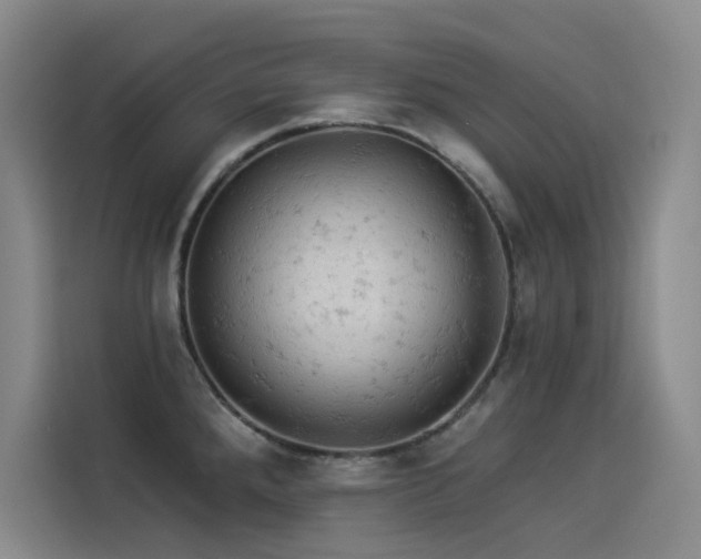 X0000114531288200910191314