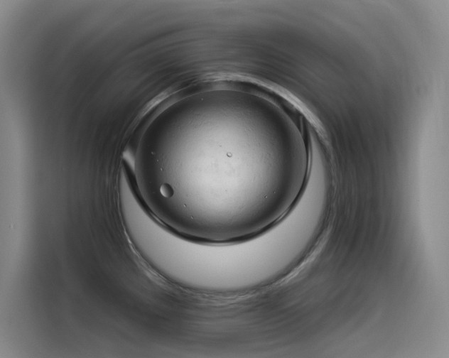 X0000114531289200910191314