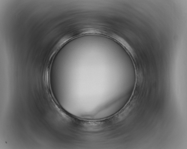 X0000114531290200910191314