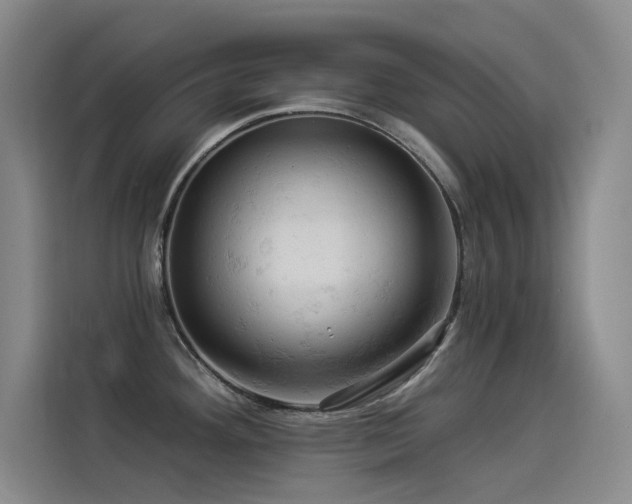X0000114531292200910191314