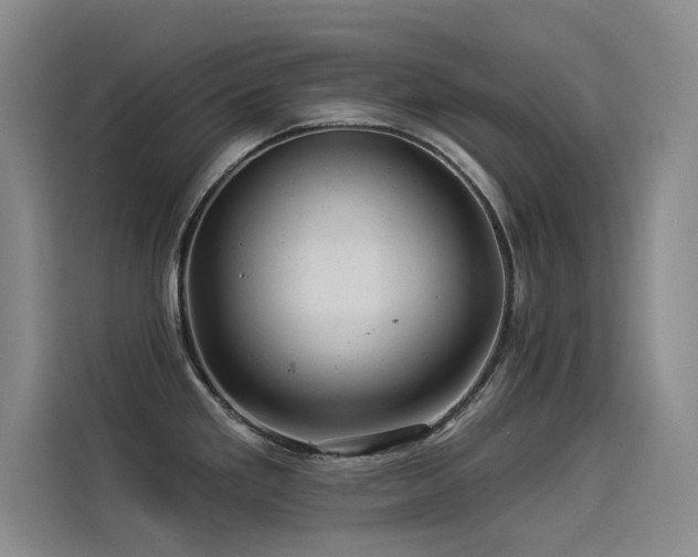 X0000114531293200910191314