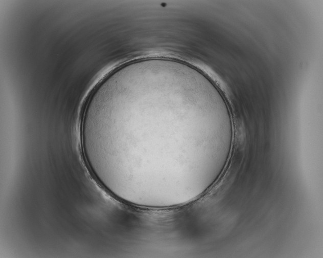 X0000114531294200910191314
