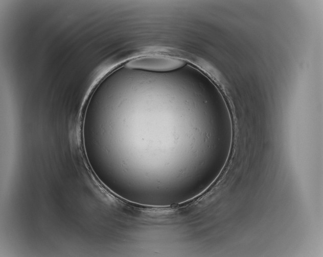 X0000114531296200910191314