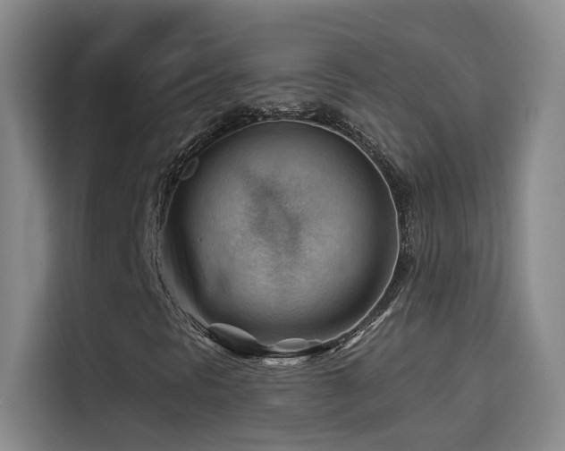 X0000114531297200910191314