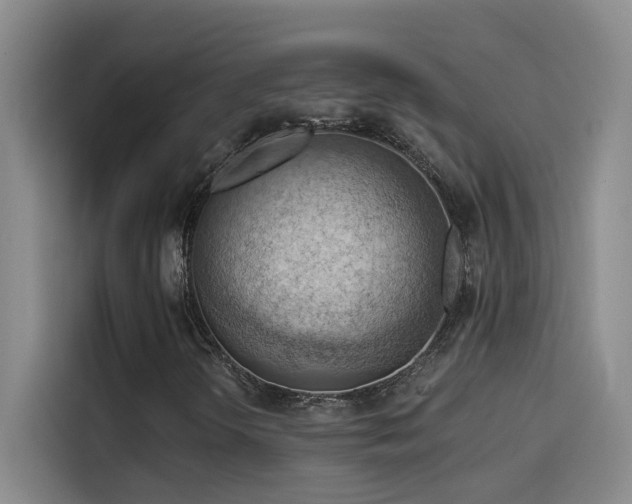X0000114531298200910191314