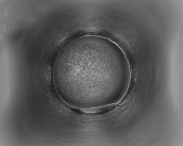 X0000114531301200910191314