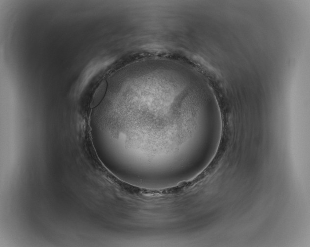 X0000114531302200910191314