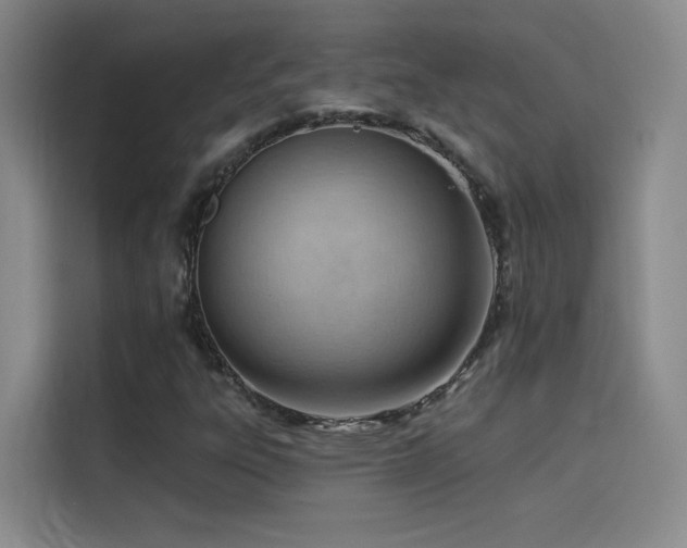 X0000114531303200910191314
