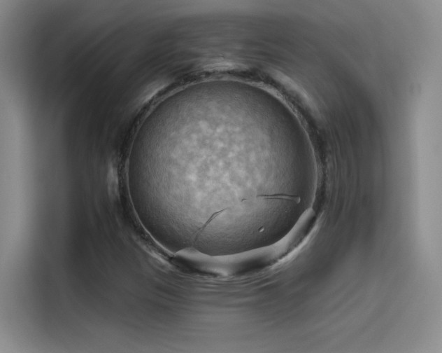 X0000114531305200910191314