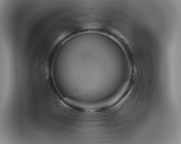 X0000114531306200910191314