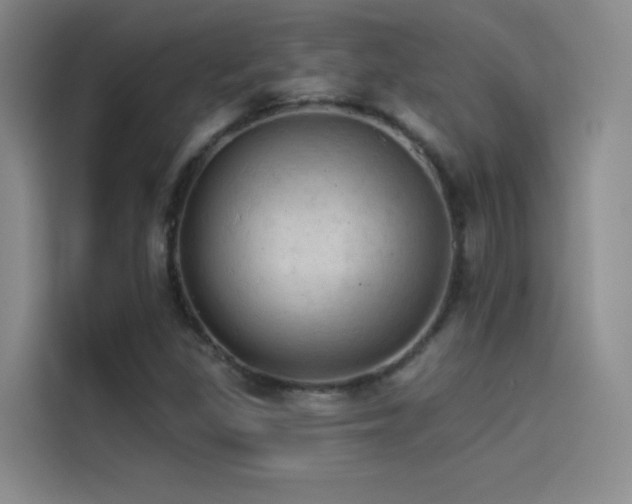 X0000114531309200910191314