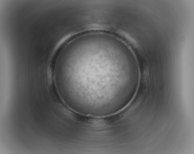 X0000114531310200910191314