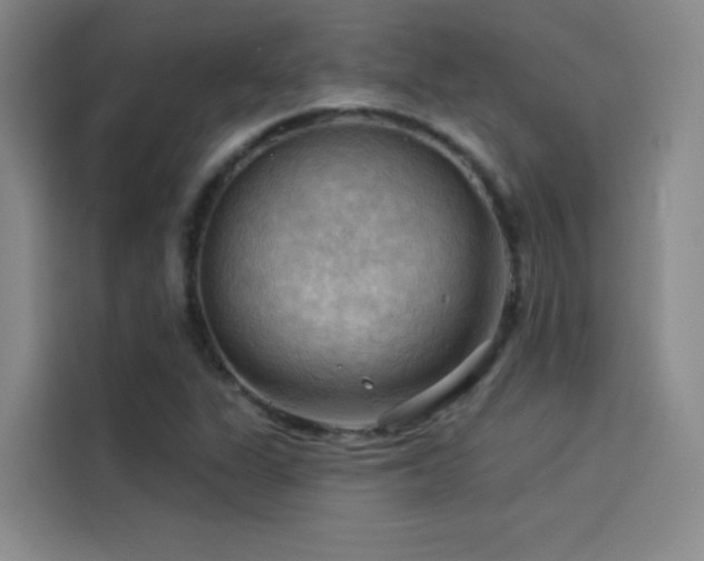 X0000114531311200910191314