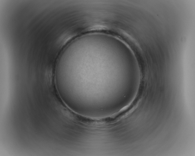 X0000114531313200910191314