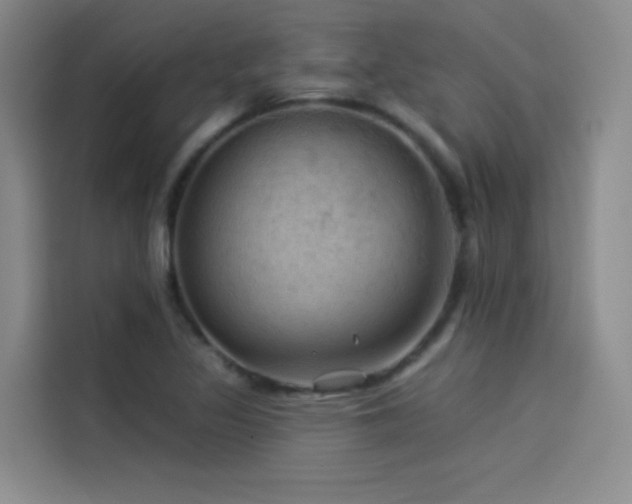 X0000114531317200910191314