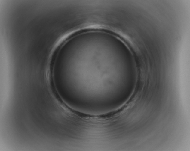 X0000114531319200910191314