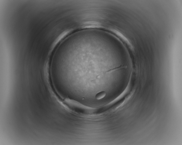 X0000114531325200910191314