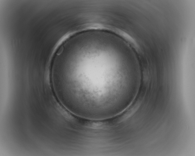 X0000114531326200910191314