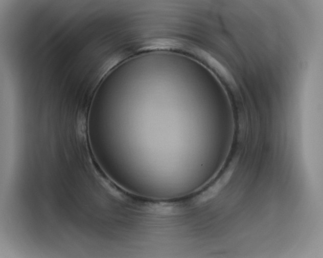 X0000114531329200910191314