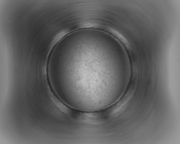 X0000114531330200910191314