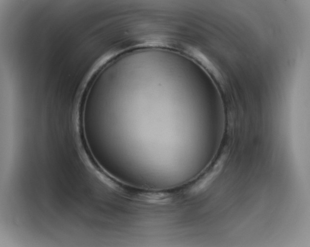 X0000114531331200910191314